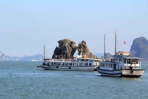 Fra Hanoi: Halong Bay Deluxe dagstur med cruise