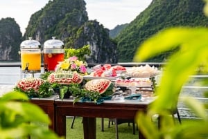 Au départ de Hanoi : Croisière de luxe d'une journée dans la baie d'Ha Long avec déjeuner buffet