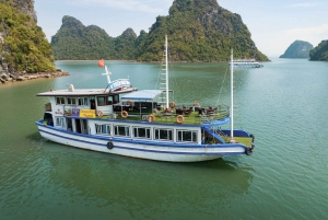 Hanoi: Excursión de un día a la Bahía de Halong con Isla Titop, Cueva y Kayak