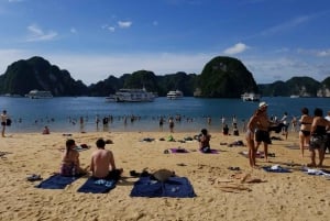 Hanoi: Halong Bay dagstur med Titop Island, grotta och kajak