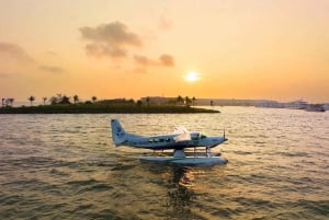 Vanuit Hanoi: Halong Bay Seaplane & 6-uur durende tour door Ha Long Bay