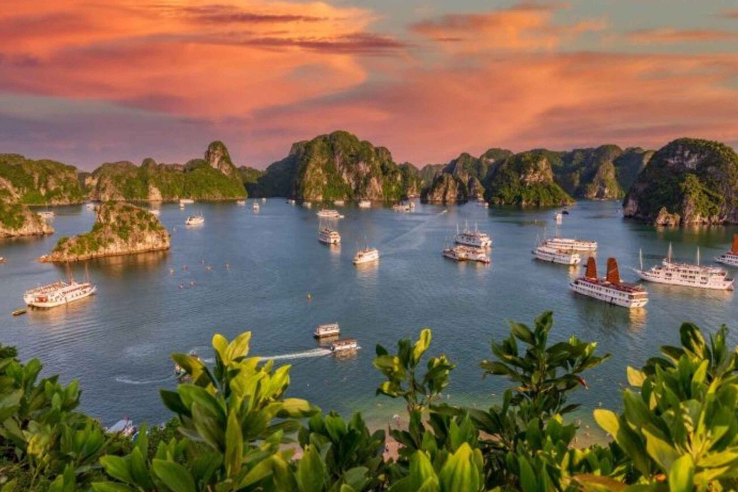 From Hanoi: Halong Bay, Titop Island, Sung Sot & Luon Caves