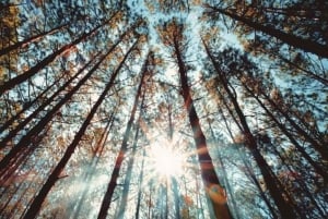 From Hanoi: Ham Lon Mountain Trekking Tour