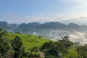 Hanoi: crociera 5 stelle di 2 giorni nella baia di Ha Long