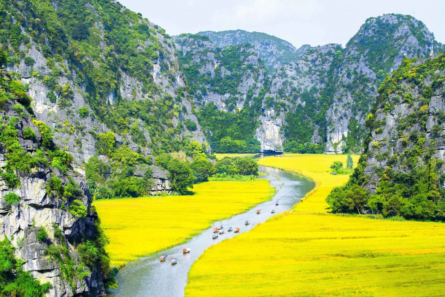 From Hanoi: Hoa Lu, Tam Coc, Mua Cave & Cycling in Ninh Binh