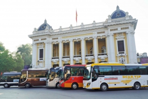Fra Hanoi: Hoa Lu og Tam Coc med lunsjbuffé og sykling