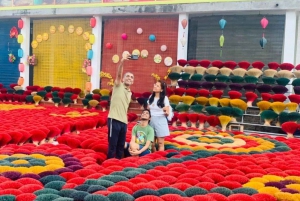 Hanoi : visite de l'encens, des chapeaux, de la laque et de la rue du train