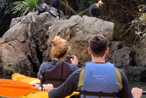 From Hanoi: Lan Ha Bay | Kayaking, Sightseeing, Cruise Trip