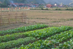 Fra Hanoi: Lang Son UNESCO Geopark og dagsomvisning på landsbygda