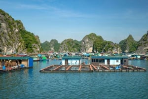 Da Hanoi: Crociera di lusso di un giorno nella Baia di Ha Long e nella Baia di Lan Ha