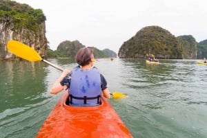 Au départ de Hanoi : Croisière de luxe d'une journée vers la baie d'Ha Long et la baie de Lan Ha