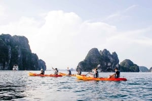 Au départ de Hanoi : Croisière de luxe d'une journée vers la baie d'Ha Long et la baie de Lan Ha