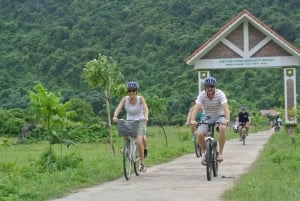 Au départ de Hanoi : Croisière de luxe d'une journée vers la baie d'Ha Long et la baie de Lan Ha