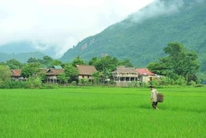 From Hanoi: Mai Chau and Pu Luong 2-Day Tour with Meals
