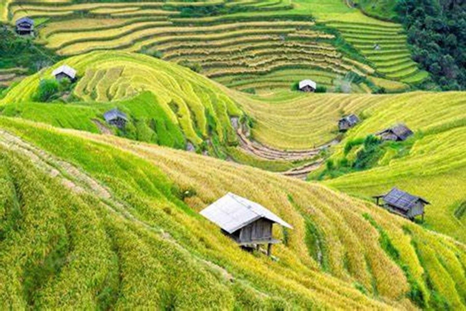 Vanuit Hanoi: Mai Chau en Pu Luong 3-daagse tour met gastgezin