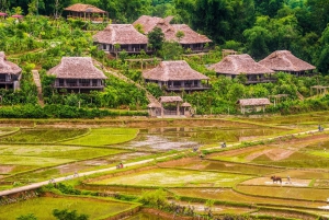 Au départ de Hanoi : excursion de 3 jours à Mai Chau et Pu Luong avec hébergement chez l'habitant