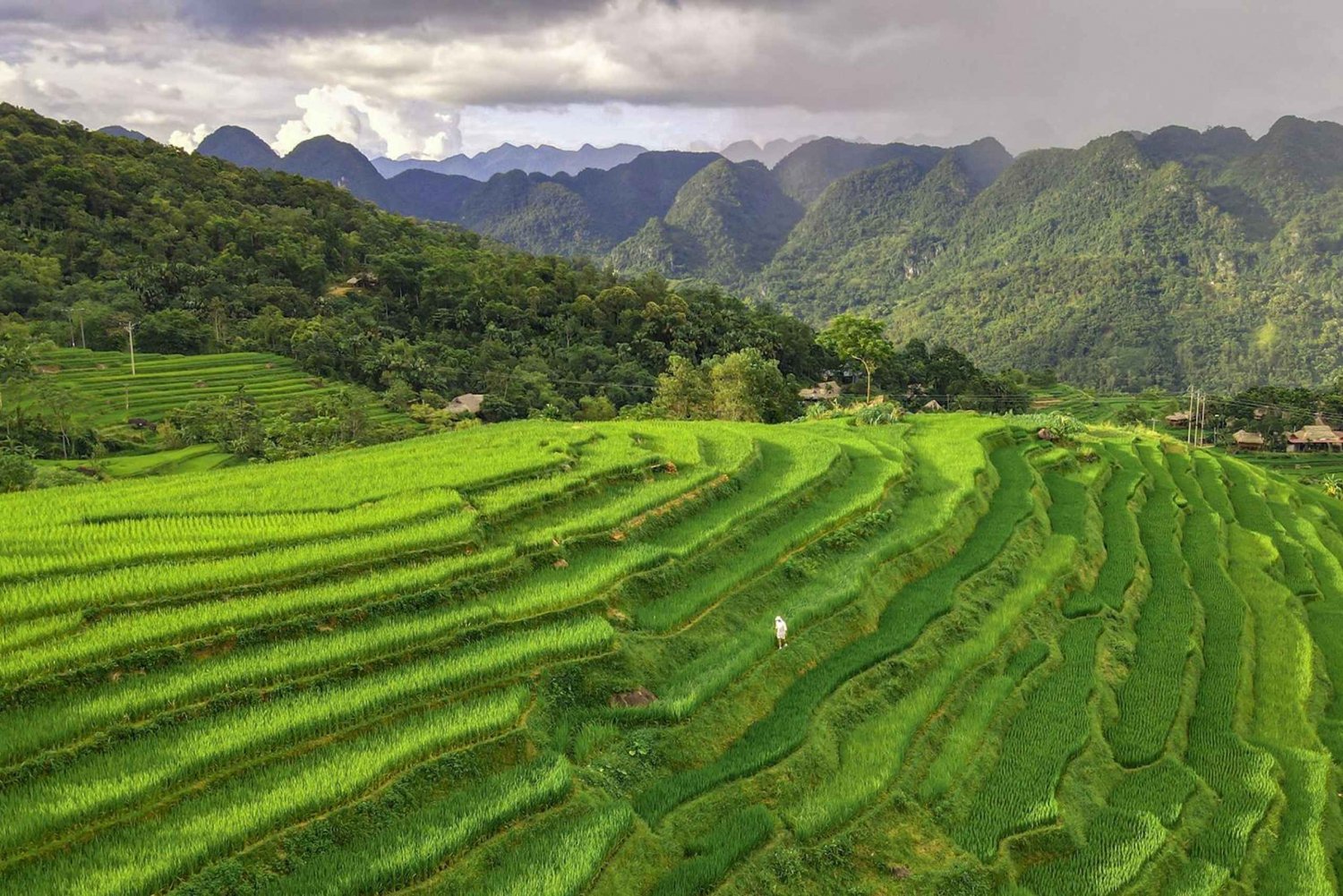 From Hanoi: Mai Chau and Pu Luong Nature Reserve 2-Day Tour