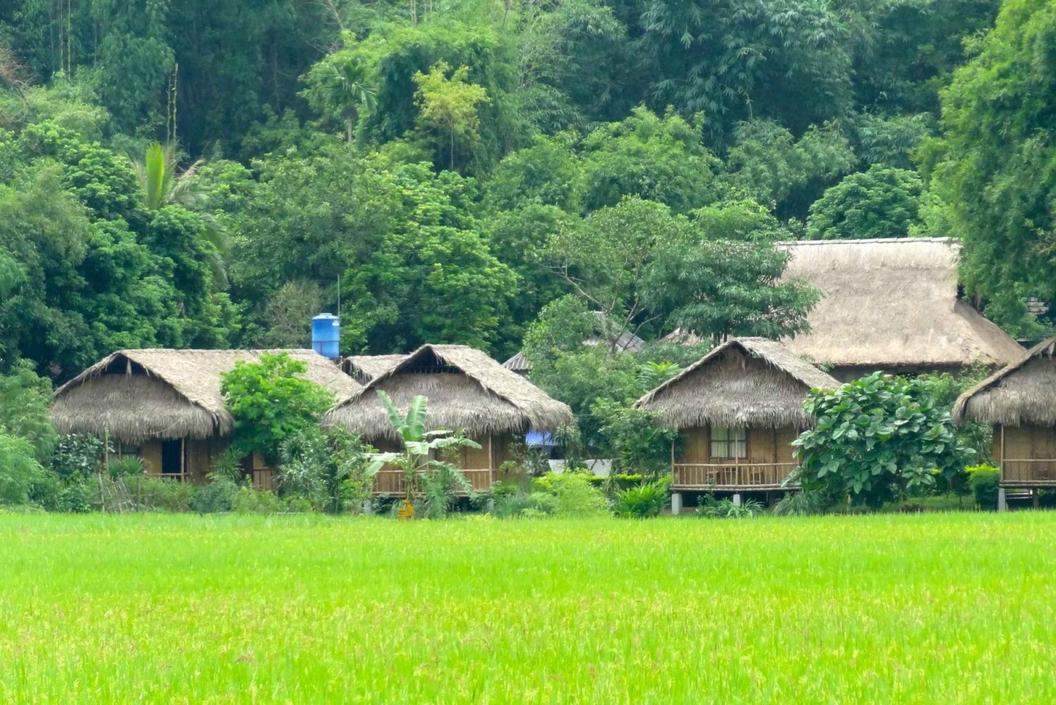 Fra Hanoi: Mai Chau - Pu Luong 2 dage 1 nat