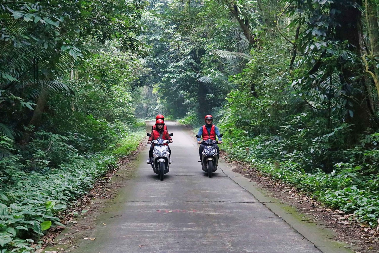 From Hanoi: Motorbike Tour to Cuc Phuong National Park