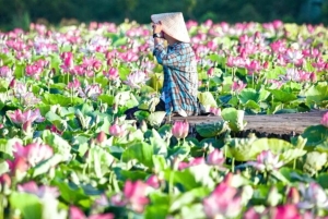 De Hanói: Ninh Binh Bai Dinh ou Hoa Lu, Trang An, Caverna Mua