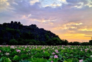 De Hanói: Ninh Binh Bai Dinh ou Hoa Lu, Trang An, Caverna Mua