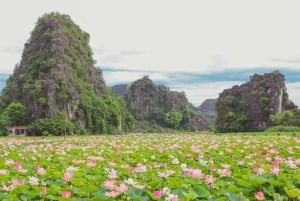 De Hanói: Ninh Binh Bai Dinh ou Hoa Lu, Trang An, Caverna Mua
