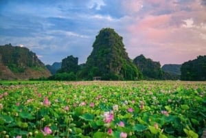 De Hanói: Ninh Binh Bai Dinh ou Hoa Lu, Trang An, Caverna Mua