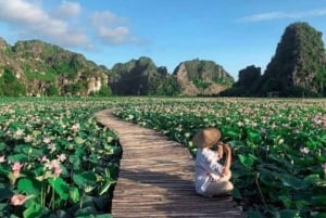 De Hanói: Ninh Binh Bai Dinh ou Hoa Lu, Trang An, Caverna Mua