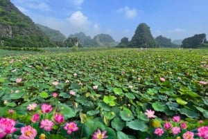 From Hanoi: Ninh Binh Bai Dinh or Hoa Lu, Trang An, Mua Cave