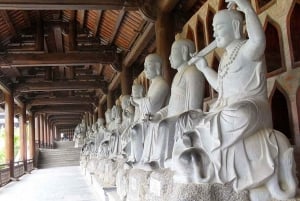 From Hanoi: Ninh Binh Bai Dinh or Hoa Lu, Trang An, Mua Cave
