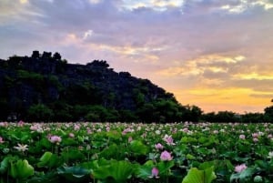 From Hanoi: Ninh Binh Bai Dinh or Hoa Lu, Trang An, Mua Cave
