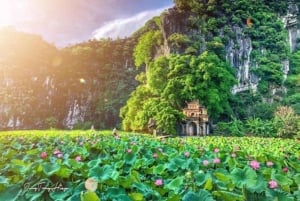 From Hanoi: Ninh Binh Bai Dinh or Hoa Lu, Trang An, Mua Cave