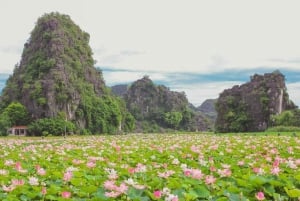 From Hanoi: Ninh Binh Bai Dinh or Hoa Lu, Trang An, Mua Cave