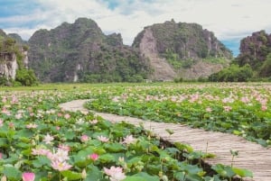From Hanoi: Ninh Binh Bai Dinh or Hoa Lu, Trang An, Mua Cave