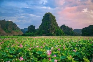 From Hanoi: Ninh Binh Bai Dinh or Hoa Lu, Trang An, Mua Cave