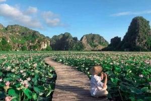 From Hanoi: Ninh Binh Bai Dinh or Hoa Lu, Trang An, Mua Cave