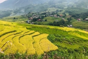 From Hanoi: Premium 2-Day Sapa Adventure with DCAR Limousine
