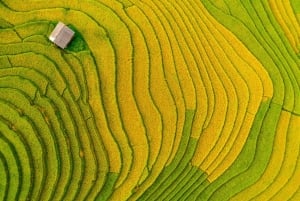 From Hanoi: Premium 2-Day Sapa Adventure with DCAR Limousine