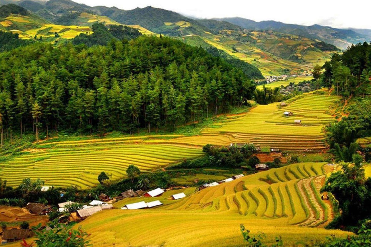 From Hanoi: Private/Group tour to Mai Chau Valley Full Day