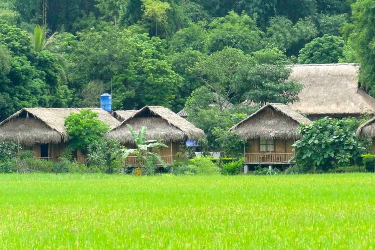 From Hanoi: Private tour Mai Chau Valley Day Trip