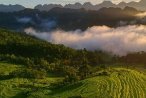 Fra Hanoi: Pu Luong naturreservat ferie 2D1N