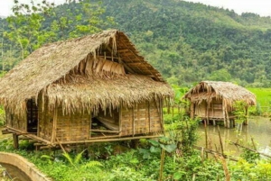 De Hanói: Reserva Natural Pu Luong Férias 2D1N