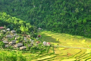 Vanuit Hanoi: Pu Luong Natuurreservaat Vakantie 2D1N