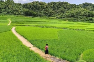 From Hanoi: Pu Luong One Day Trip with Lunch