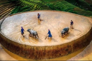 Desde Hanói: senderismo de 2 días en Sapa y alojamiento con Mama Shushu