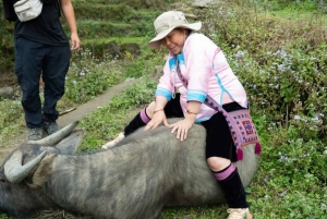 Desde Hanói: senderismo de 2 días en Sapa y alojamiento con Mama Shushu