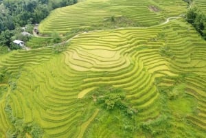 Fra Hanoi: Sapa 2 dager og 1 natt trekking med lokalbefolkningen