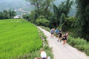 De Hanói: Sapa 2 dias 1 noite de trekking com a população local