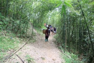 Från Hanoi: Sapa 2 dagar 1 natt Trekking med lokalbefolkningen