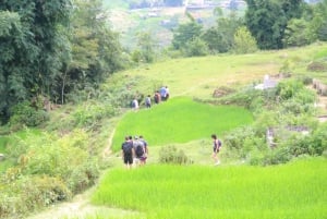 Från Hanoi: Sapa 2 dagar 1 natt Trekking med lokalbefolkningen